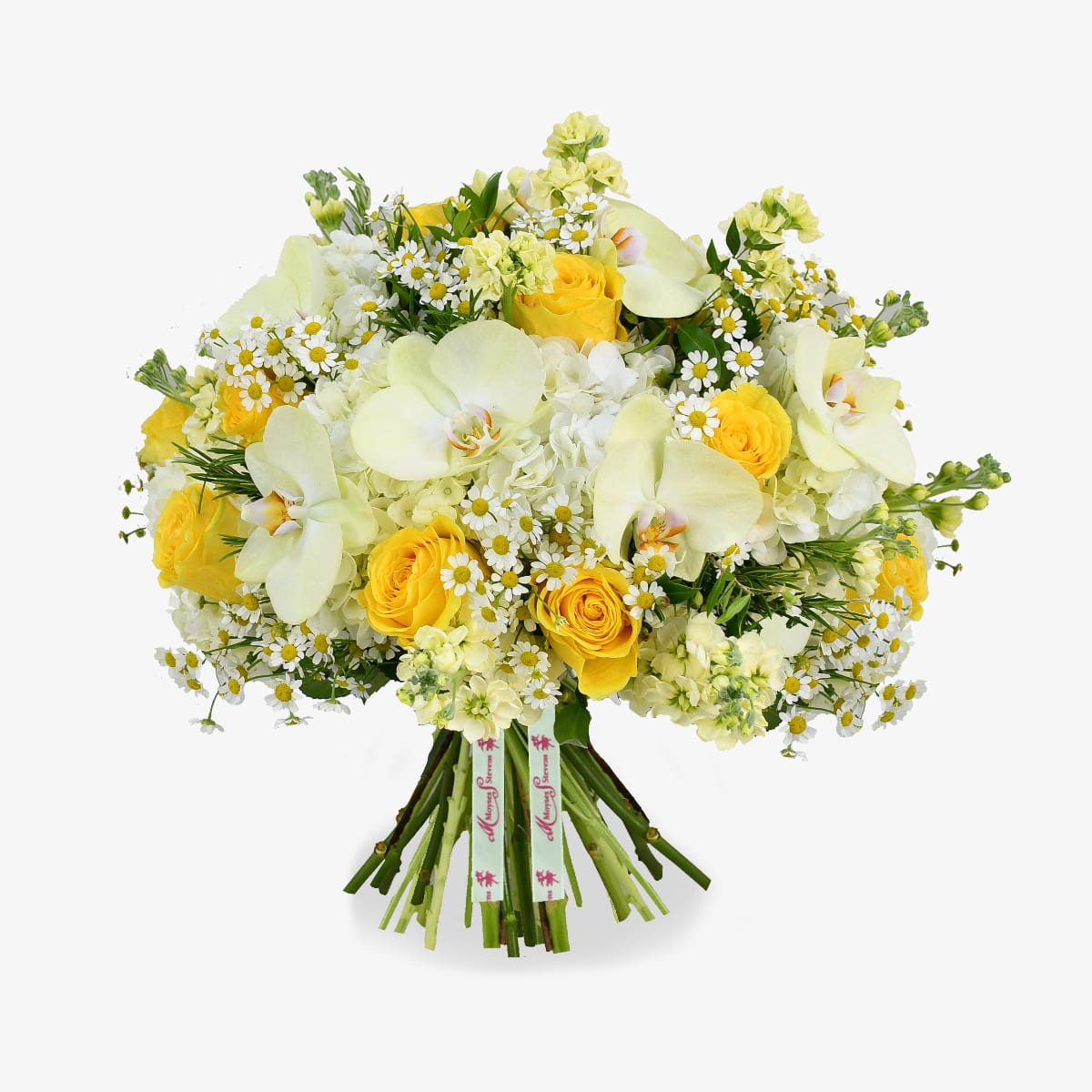 oops a daisy luxury flower bouquet by Moyses Stevens UAE featuring White Hydrangeas, Yellow Roses, Green Phalaenopsis Orchids, Yellow Stocks, Camomiles, Rosemary, Seasonal Greenery