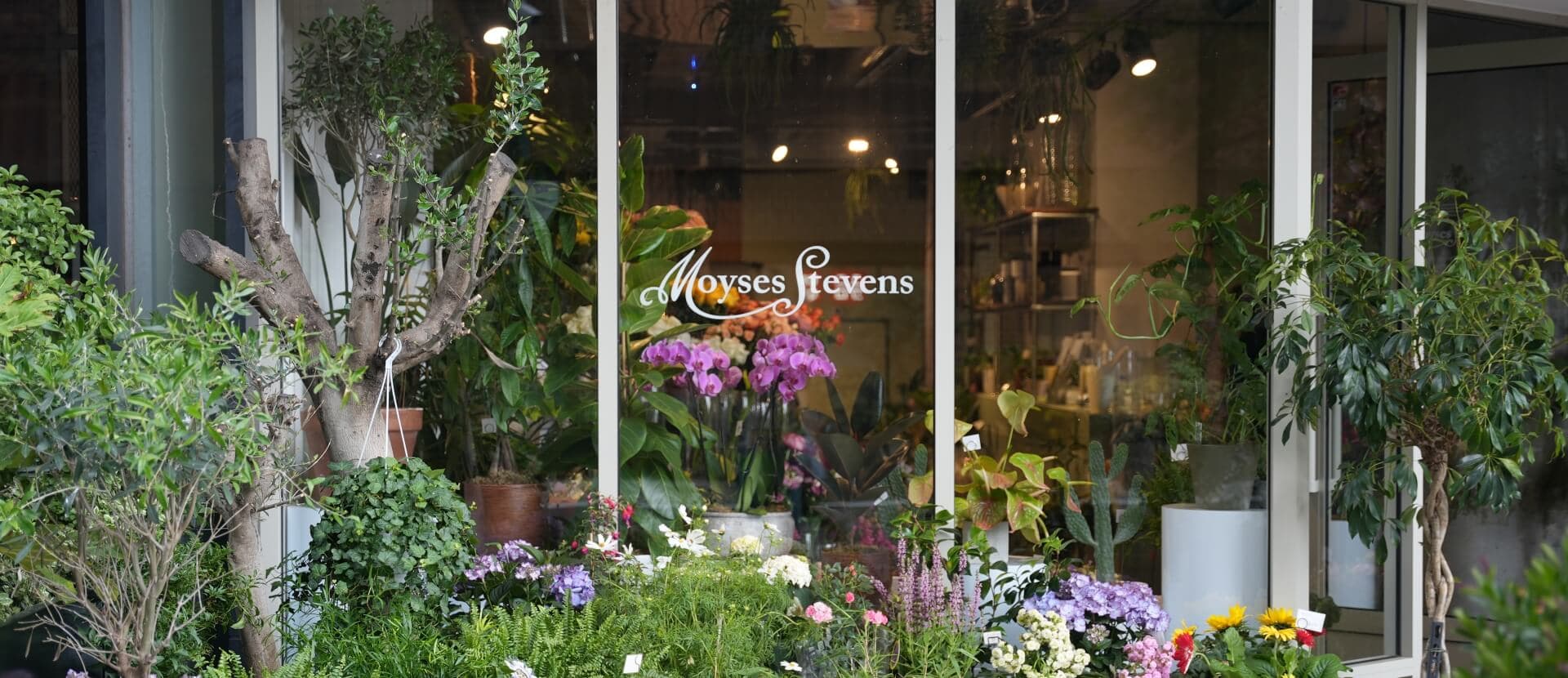 The Moyses Stevens storefront