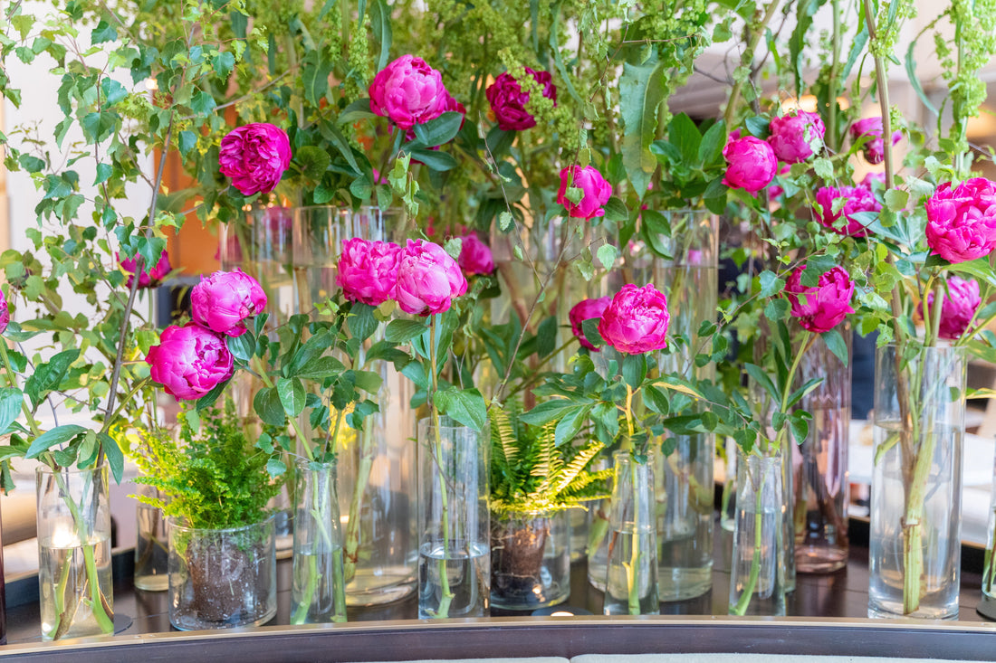 The Science of Longevity: How Premium Peonies Overcome the UAE Climate