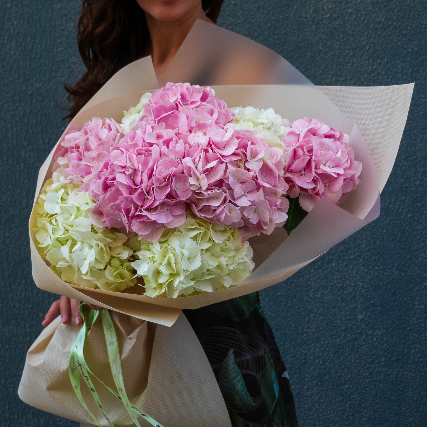 Hydrangea