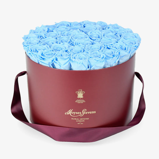 Preserved Blue Roses Hatbox