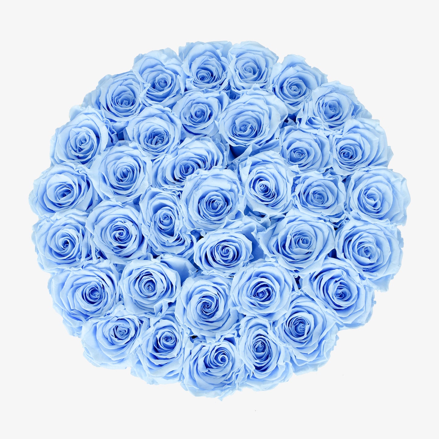 Preserved Blue Roses Hatbox