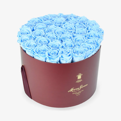 Preserved Blue Roses Hatbox