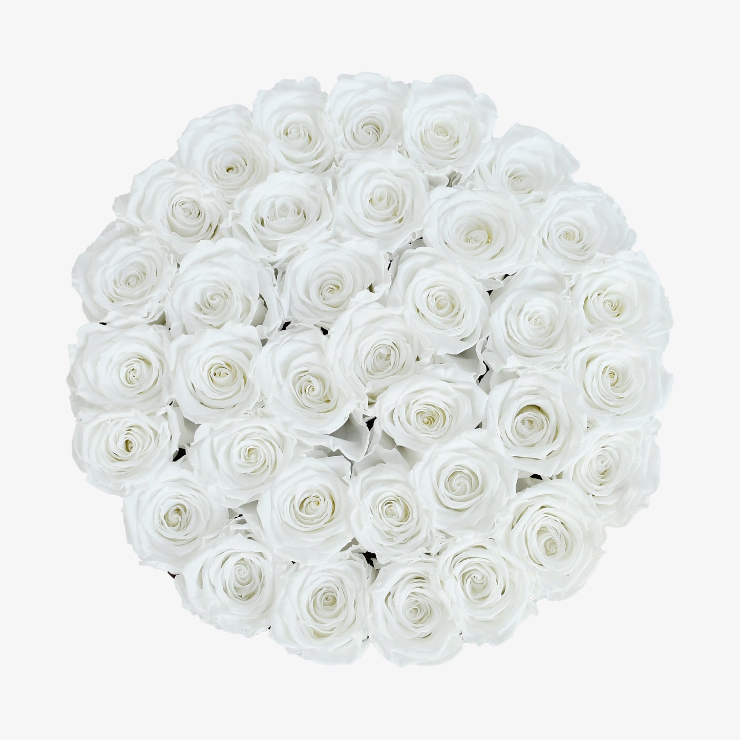 Preserved White Roses Hatbox