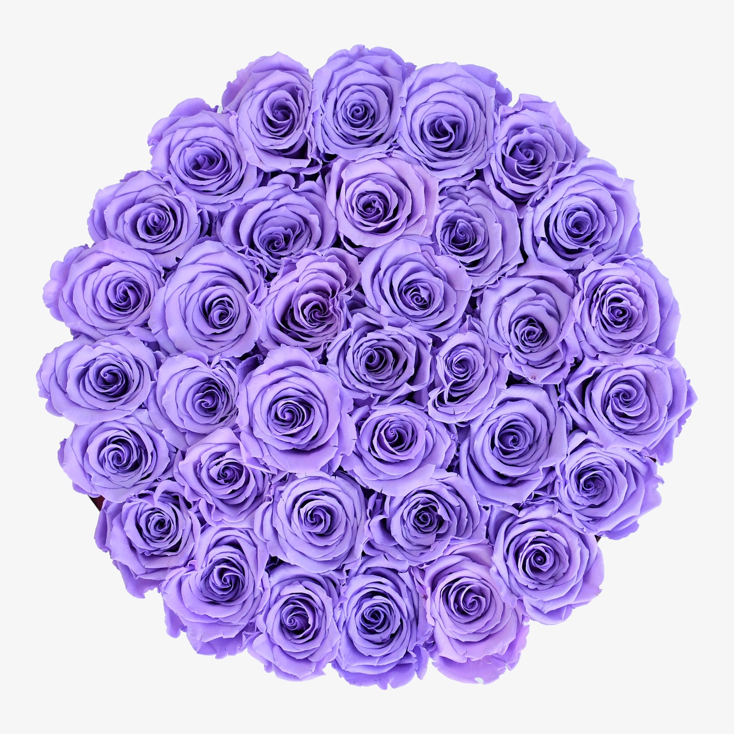Preserved Purple Roses Hatbox