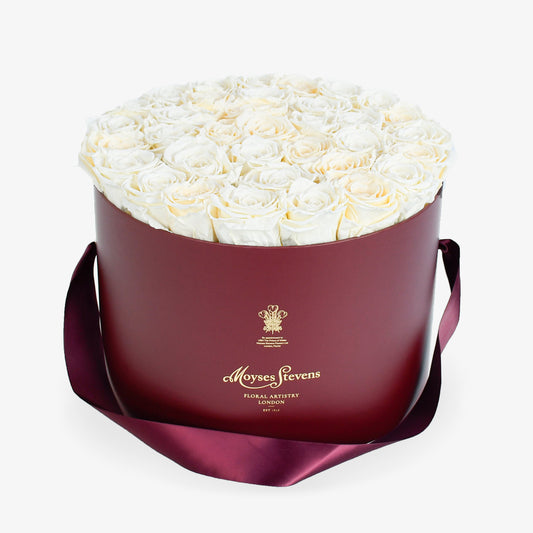 Preserved Cream Roses Hatbox