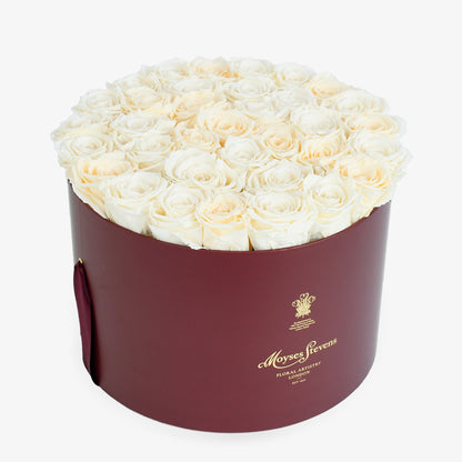 Preserved Cream Roses Hatbox
