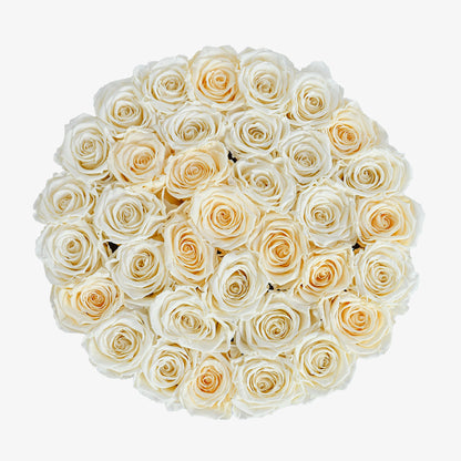 Preserved Cream Roses Hatbox
