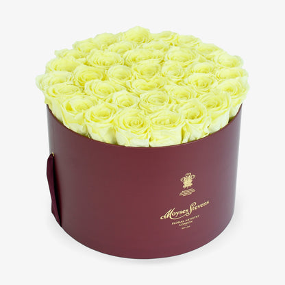 Preserved Yellow Roses Hatbox
