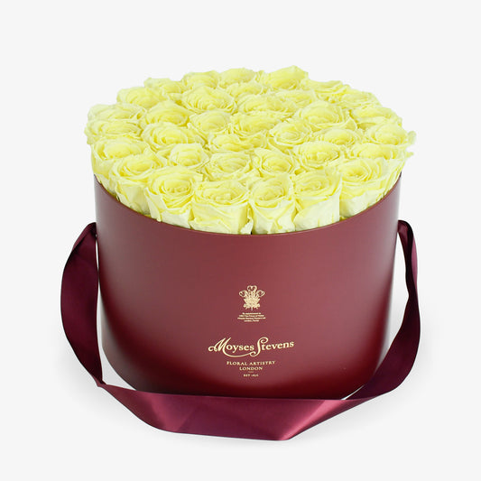 Preserved Yellow Roses Hatbox