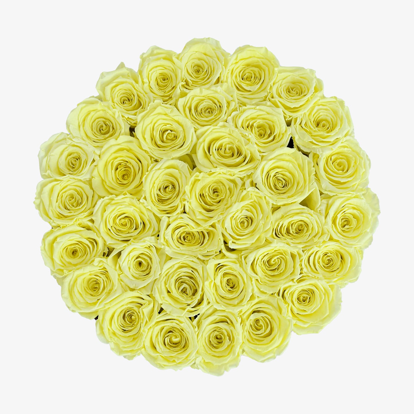 Preserved Yellow Roses Hatbox