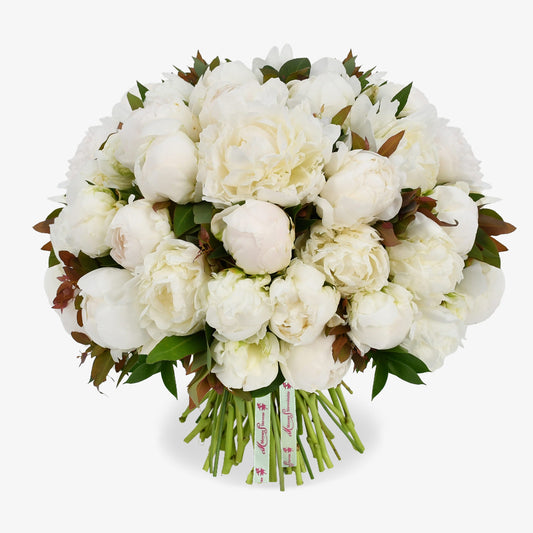 White Peonies