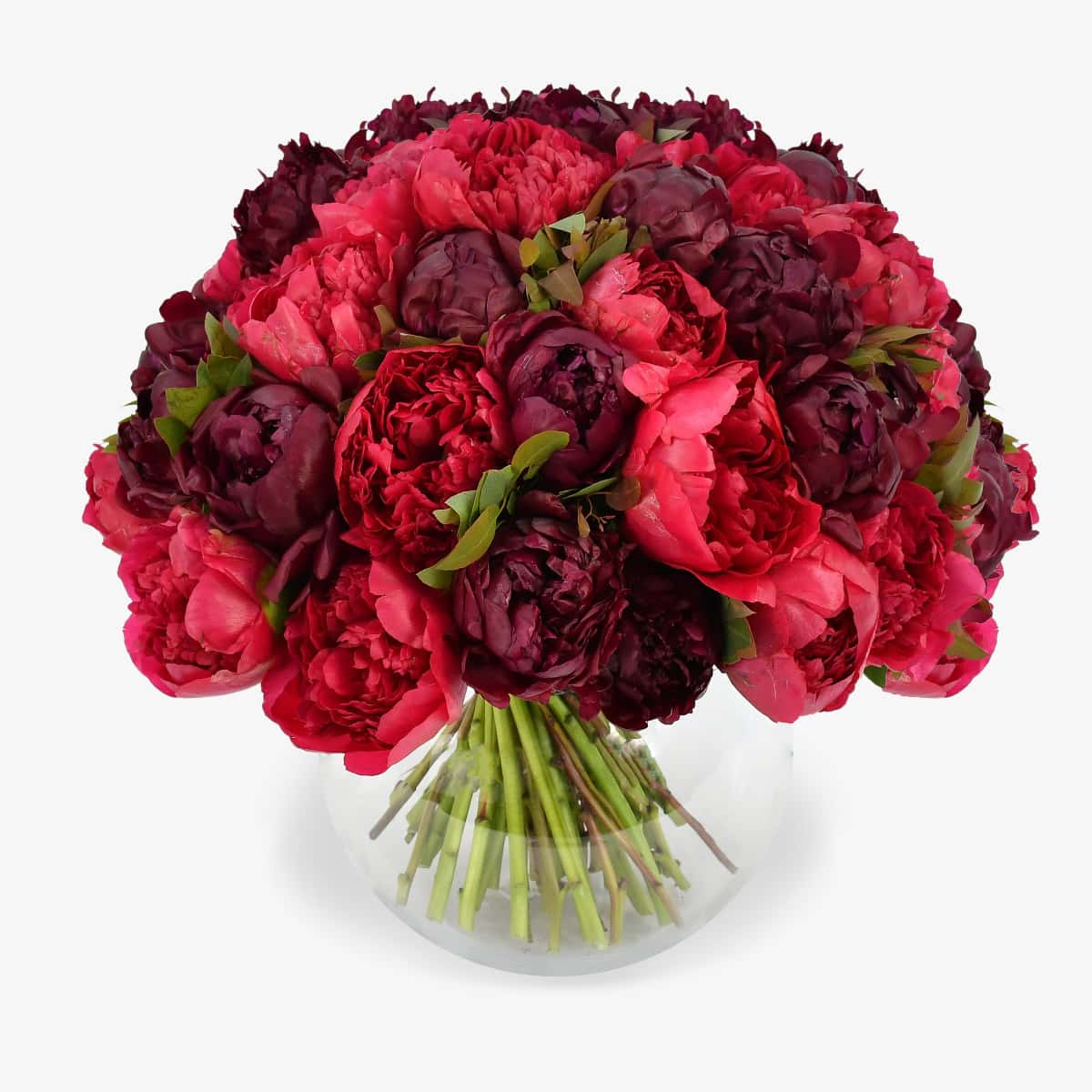 Raspberry luxury flower bouquet by Moyses Stevens UAE featuring a perfect blend of deep red and pink peonies, accented with seasonal foliage