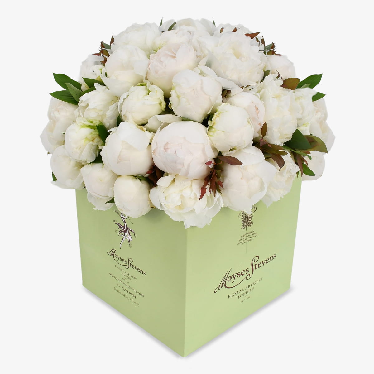 White Peonies luxury flower bouquet by Moyses Stevens UAE featuring luxury white peonies with lush green foliage. 