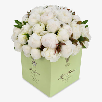 White Peonies luxury flower bouquet by Moyses Stevens UAE featuring luxury white peonies with lush green foliage. 
