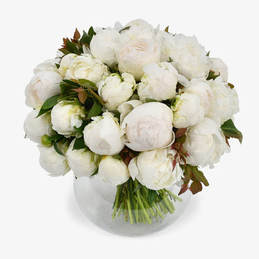 White Peonies luxury flower bouquet by Moyses Stevens UAE featuring luxury white peonies with lush green foliage. 