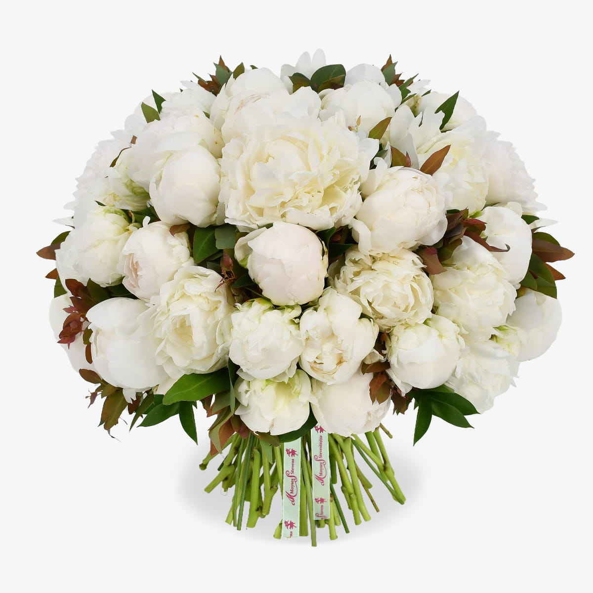 White Peonies luxury flower bouquet by Moyses Stevens UAE featuring luxury white peonies with lush green foliage. 