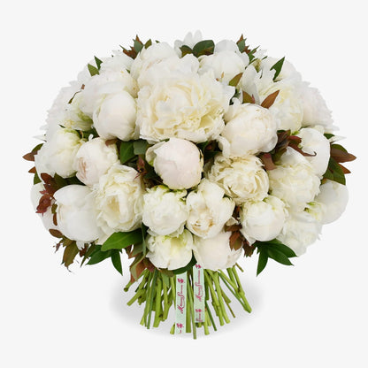 White Peonies luxury flower bouquet by Moyses Stevens UAE featuring luxury white peonies with lush green foliage. 