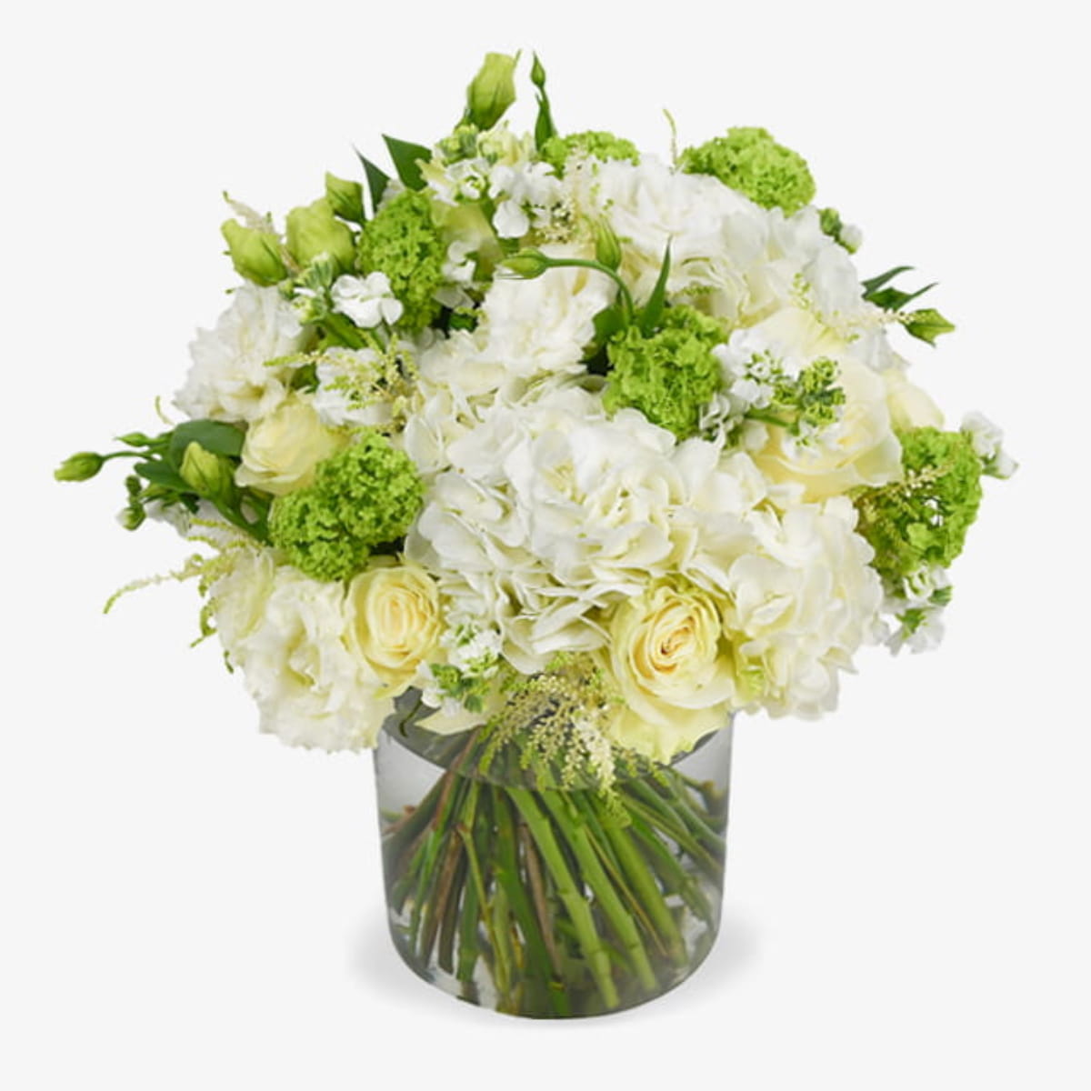 White and green bag luxury flower bouquet by Moyses Stevens UAE featuring  premium Ecuadorian Mondial roses, hydrangeas, lisianthus, astils, phlox, and Guelda-roses