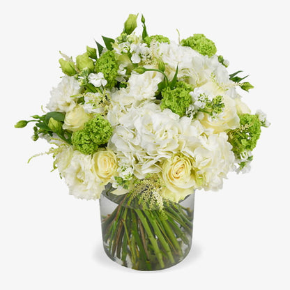 White And Green