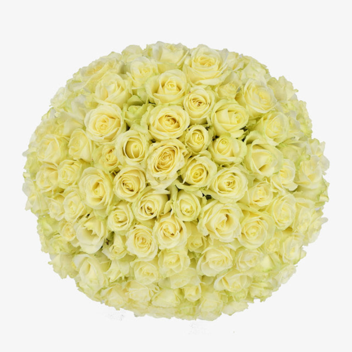 beauty queen luxury flower bouquet by Moyses Stevens UAE featuring premium white roses.