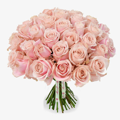 cherry blossom luxury flower bouquet by Moyses Stevens UAE featuring Pink Roses.