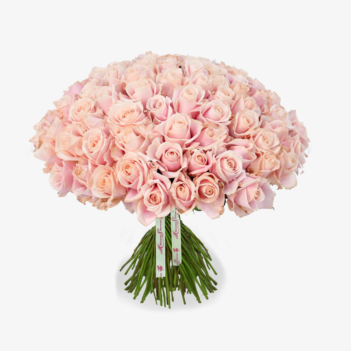 Flamingo luxury flower bouquet by Moyses Stevens UAE featuring a delightful bouquet of pink roses. 