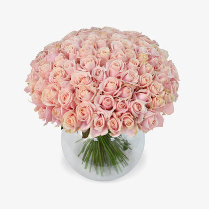Flamingo luxury flower bouquet by Moyses Stevens UAE featuring a delightful bouquet of pink roses. 