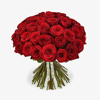 Golden Year luxury flower bouquet by Moyses Stevens UAE featuring our magnificent 'Red Naomi' roses.