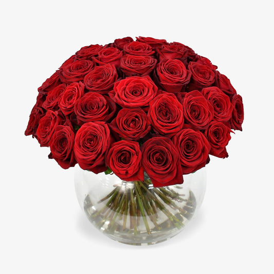 Golden Year luxury flower bouquet by Moyses Stevens UAE featuring our magnificent 'Red Naomi' roses.