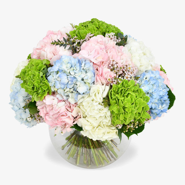 Heavenly Hydrangea luxury flower bouquet by Moyses Stevens UAE featuring a lush harmony of hydrangeas in soft pink, blue, white, and green.