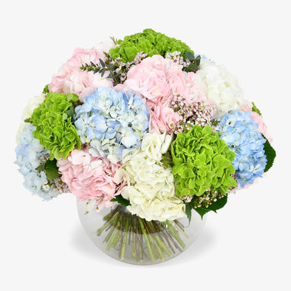 Heavenly Hydrangea luxury flower bouquet by Moyses Stevens UAE featuring a lush harmony of hydrangeas in soft pink, blue, white, and green.