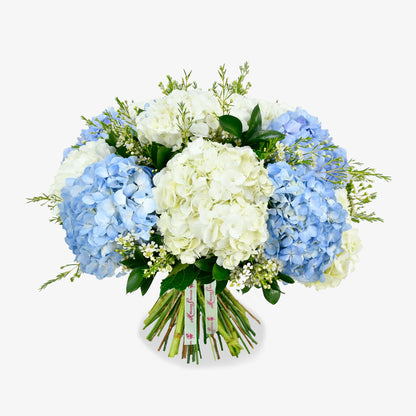 Hydrangea Delight
