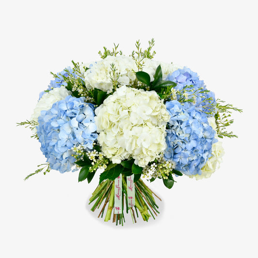 Hydrangea Delight