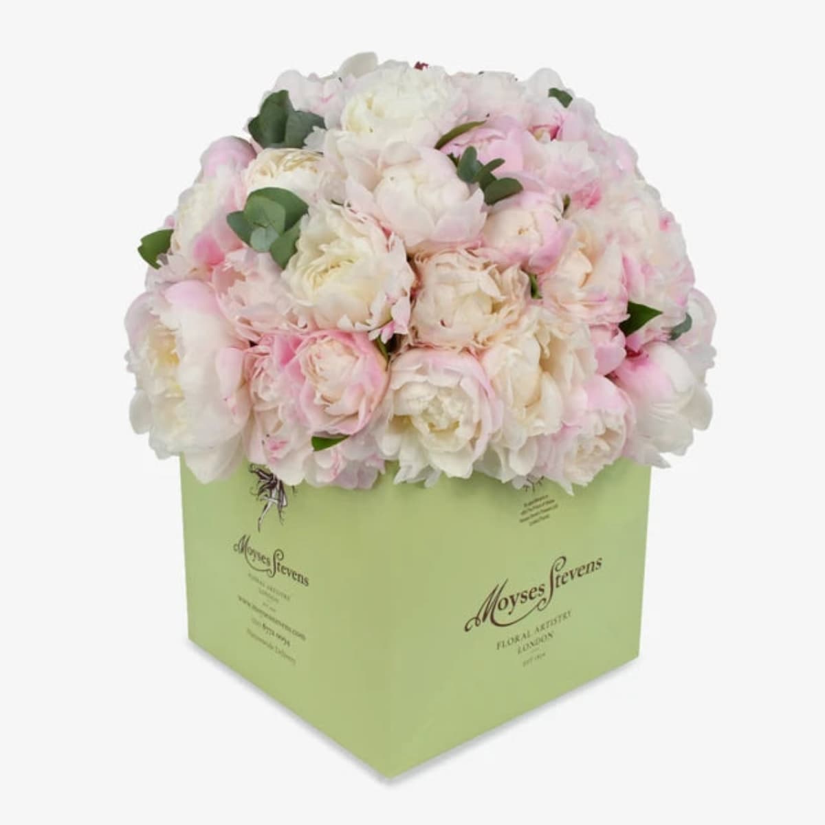 Perfect peony luxury flower bouquet by Moyses Stevens UAE featuring ultra rare white and pink peonies. 