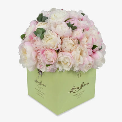 Perfect peony luxury flower bouquet by Moyses Stevens UAE featuring ultra rare white and pink peonies. 