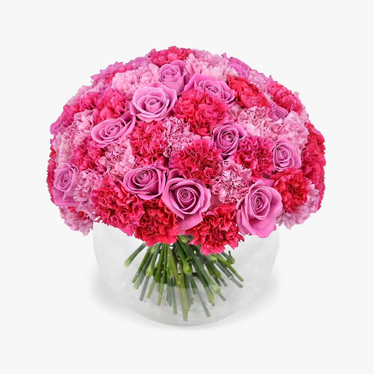pink panther luxury flower bouquet by Moyses Stevens UAE featuring Pink Carnations, Hot Pink Carnations, Hot Pink Roses