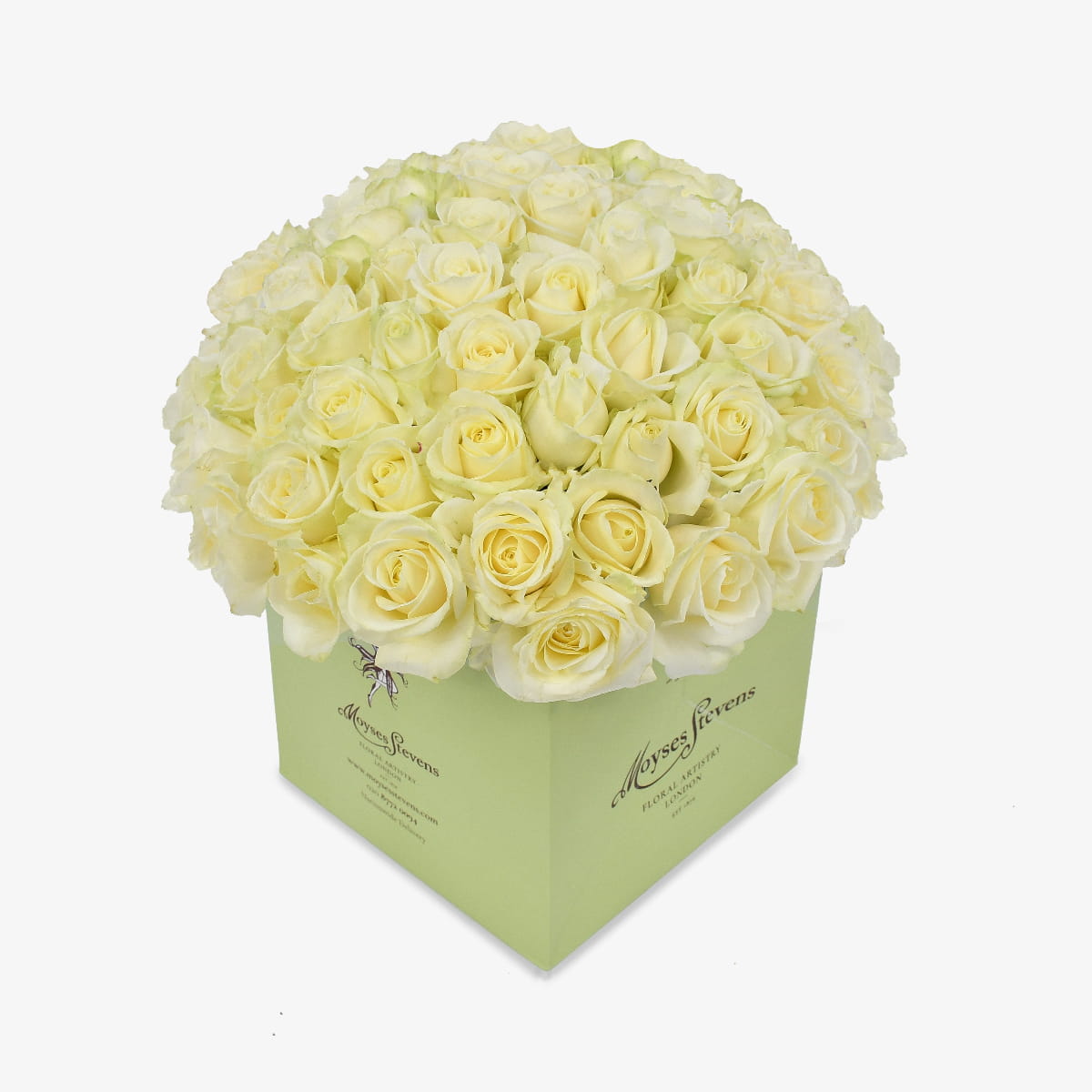 pure passion luxury flower bouquet by Moyses Stevens UAE featuring a bouquet of resplendent white roses