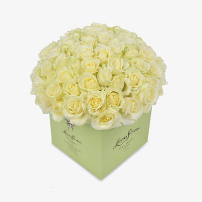 pure passion luxury flower bouquet by Moyses Stevens UAE featuring a bouquet of resplendent white roses