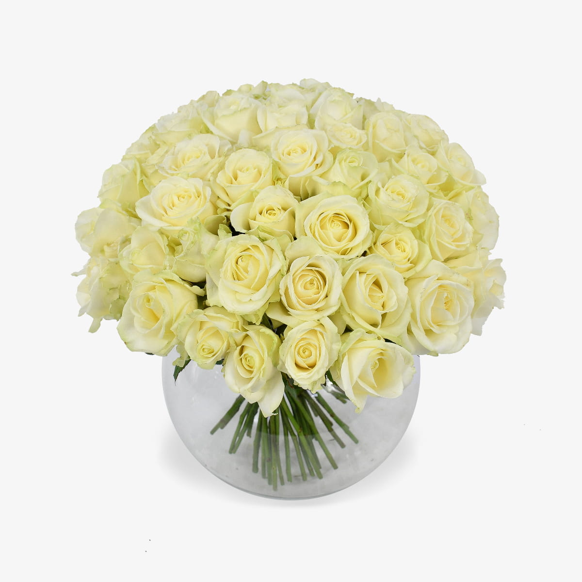 pure passion luxury flower bouquet by Moyses Stevens UAE featuring a bouquet of resplendent white roses