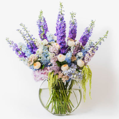 Our signature design luxury flower bouquet by Moyses Stevens UAE. Featuring majestic spires of sapphire and violet delphiniums rise dramatically above a lush, cloud-like base of soft pastel hydrangeas and premium creamy garden roses.