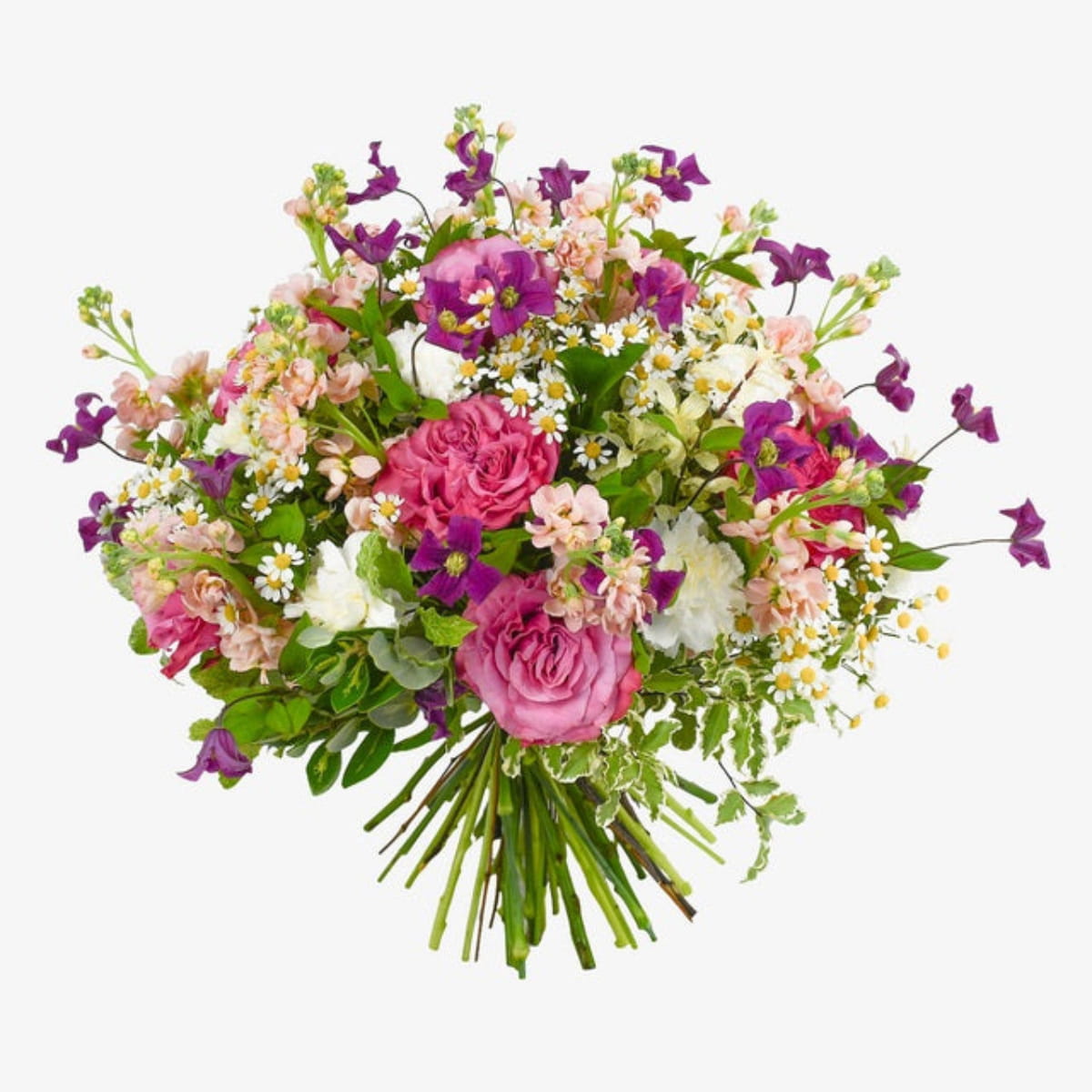 sweet daisy luxury flower bouquet by Moyses Stevens UAE featuring Roses, Stocks, Carnations, Clematis, Camomile, Seasonal Greenery
