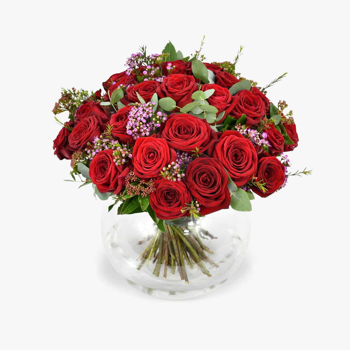 three dozen red roses luxury flower bouquet by Moyses Stevens UAE featuring Roses, Waxflower, Viburnum, Eucalyptus