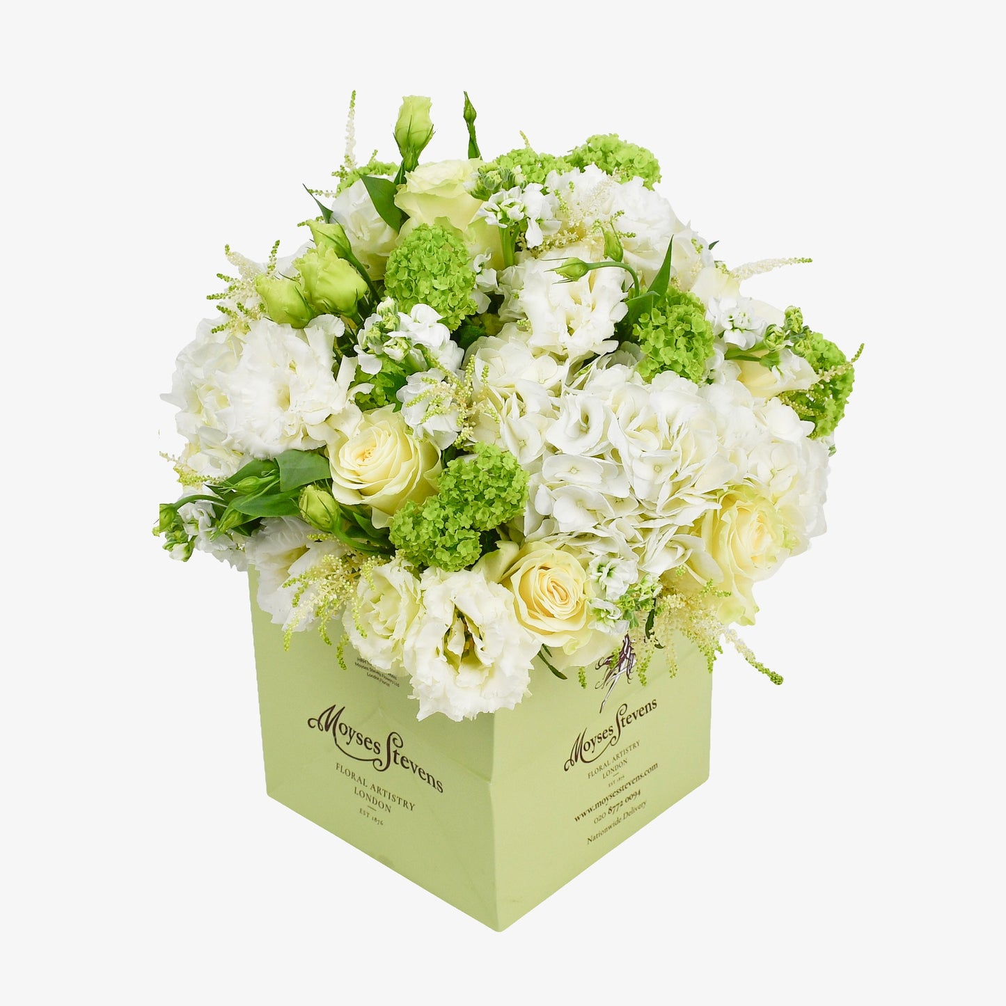 White And Green