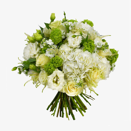 White And Green