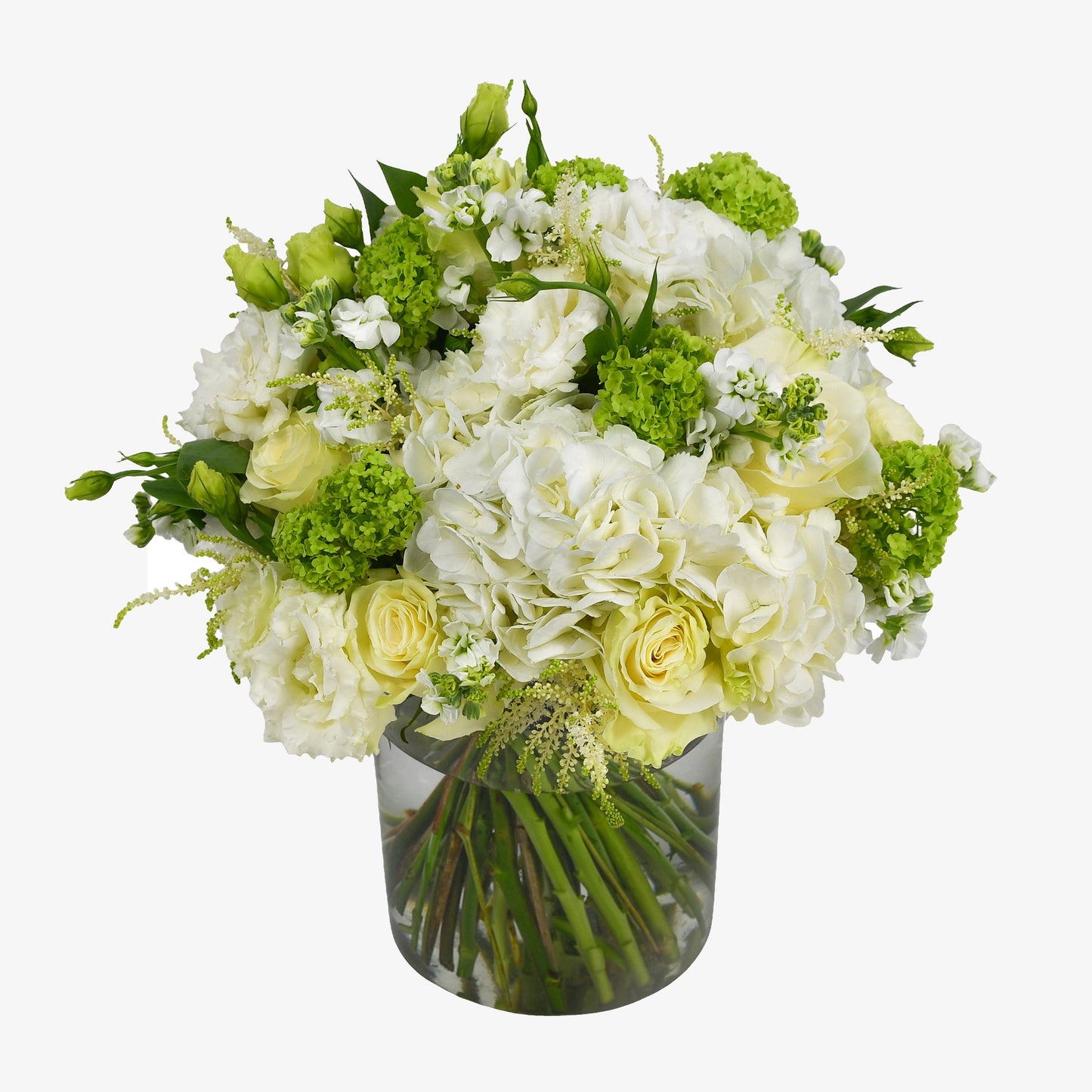 White And Green