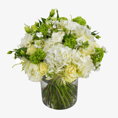White And Green