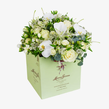 white pearl luxury flower bouquet by Moyses Stevens UAE featuring Astrantia, Astilbe, Phalaenopsis, Alstroemeria, Phlox, Spray Roses, Freesia