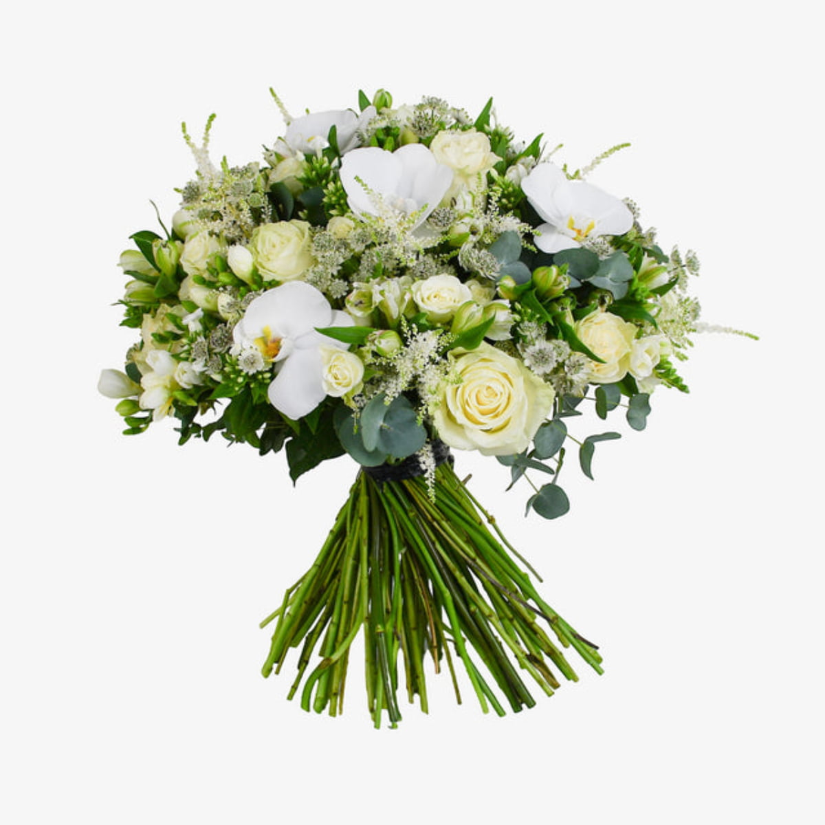 white pearl luxury flower bouquet by Moyses Stevens UAE featuring Astrantia, Astilbe, Phalaenopsis, Alstroemeria, Phlox, Spray Roses, Freesia