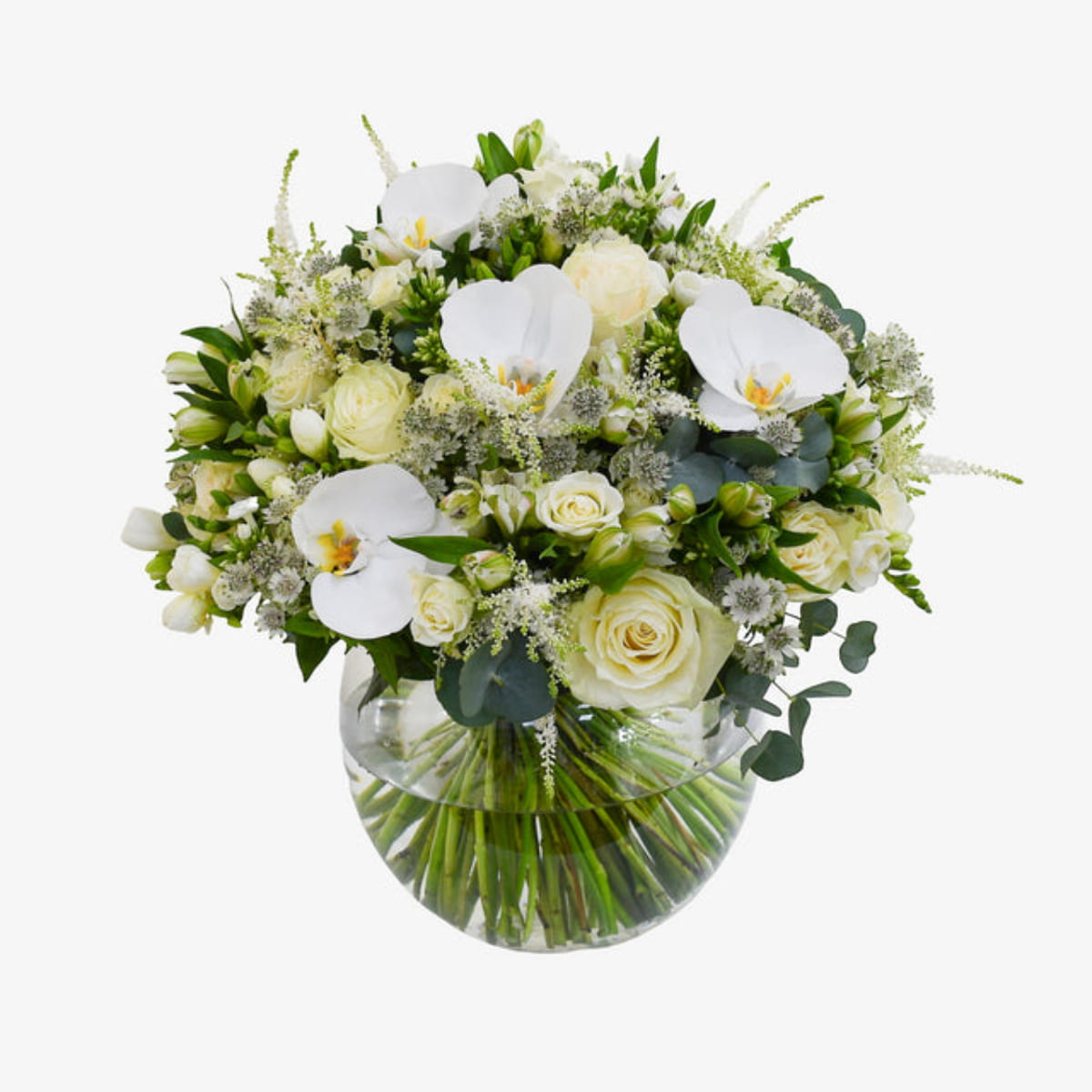 white pearl luxury flower bouquet by Moyses Stevens UAE featuring Astrantia, Astilbe, Phalaenopsis, Alstroemeria, Phlox, Spray Roses, Freesia